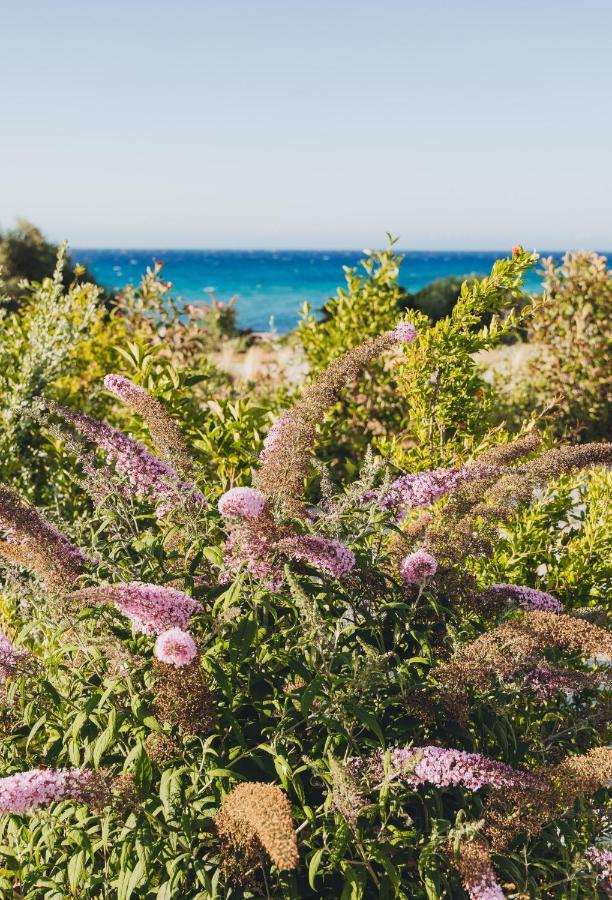 Casa Paradisu LʼÎle-Rousse Εξωτερικό φωτογραφία